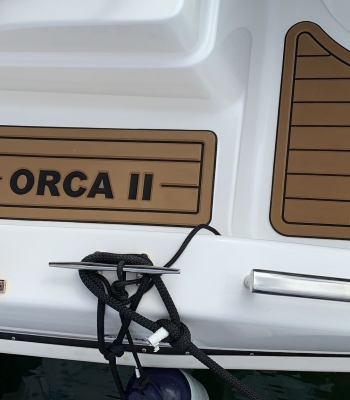 orca2-15